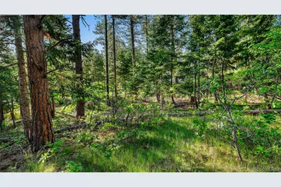 8125 Bannock Drive, Larkspur, CO 80118 - Photo 38