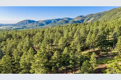 8125 Bannock Drive, Larkspur, CO 80118 - Photo 34