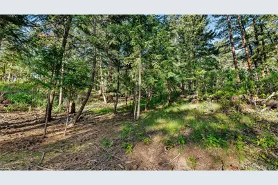 8125 Bannock Drive, Larkspur, CO 80118 - Photo 36