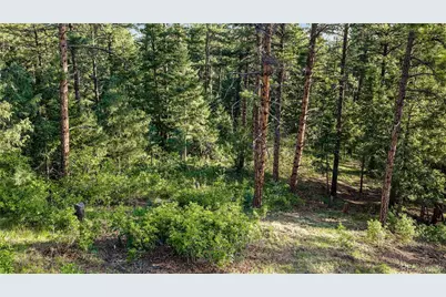8125 Bannock Drive, Larkspur, CO 80118 - Photo 8