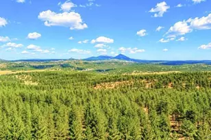 196 Freeman Dr, Florissant, CO 80816 - Photo 1