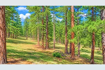 196 Freeman Drive, Florissant, CO 80816 - Photo 4