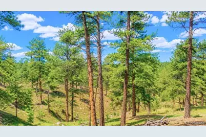 196 Freeman Drive, Florissant, CO 80816 - Photo 6