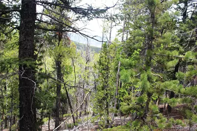 19129 Eliza, Idaho Springs, CO 80461 - Photo 10