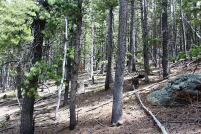 19129 Eliza, Idaho Springs, CO 80461 - Photo 12