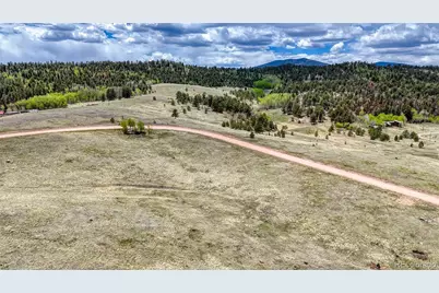Lot 007 County Road 403, Florissant, CO 80816 - Photo 6