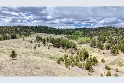 Lot 007 County Road 403, Florissant, CO 80816 - Photo 18