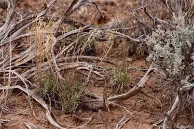 7602 Skyline Drive, San Luis, CO 81152 - Photo 28