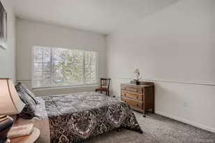 8437 Thunder Ridge Way, Highlands Ranch, CO 80126 - Photo 16