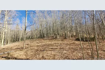 Lot's 6414 & 6415 Bronfman Road, Fort Garland, CO 81133 - Photo 4