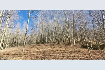 Lot's 6414 & 6415 Bronfman Road, Fort Garland, CO 81133 - Photo 6