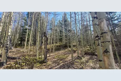 Lot's 6414 & 6415 Bronfman Road, Fort Garland, CO 81133 - Photo 16