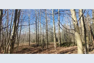 Lot's 6414 & 6415 Bronfman Road, Fort Garland, CO 81133 - Photo 12