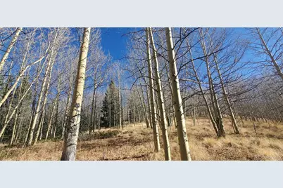 Lot's 6414 & 6415 Bronfman Road, Fort Garland, CO 81133 - Photo 10