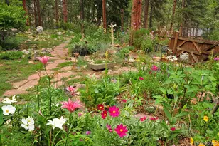 3137 Meadow View Rd, Evergreen, CO 80439 - Photo 1