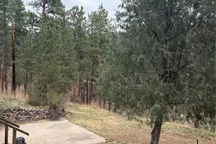 3137 Meadow View Rd, Evergreen, CO 80439 - Photo 22