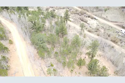 381 Neish Street, Bailey, CO 80421 - Photo 12