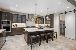 424 Grape St, Denver, CO 80220 - Photo 8