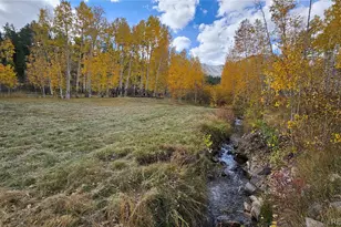 24559 Co Rd 339, Buena Vista, CO 81211 - Photo 44