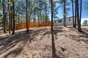 1299 Pikes Peak Dr, Florissant, CO 80816 - Photo 24