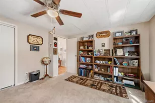 1299 Pikes Peak Dr, Florissant, CO 80816 - Photo 18