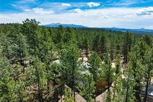 1299 Pikes Peak Dr, Florissant, CO 80816 - Photo 28