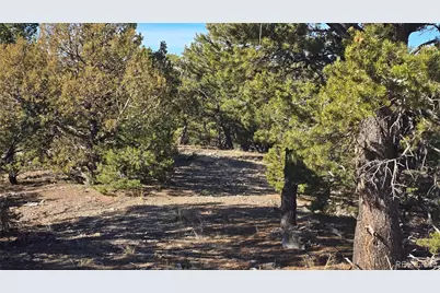 Lot 4510 Iannelli Road, Fort Garland, CO 81133 - Photo 4