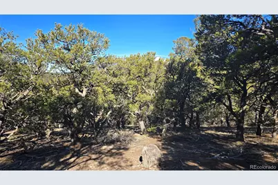 Lot 4510 Iannelli Road, Fort Garland, CO 81133 - Photo 18