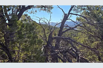 Lot 4510 Iannelli Road, Fort Garland, CO 81133 - Photo 26