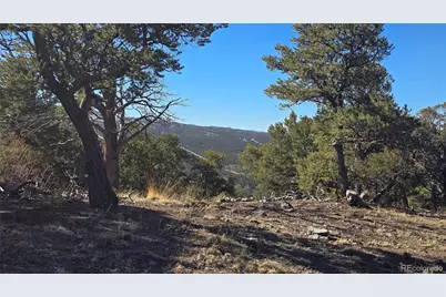 Lot 4510 Iannelli Road, Fort Garland, CO 81133 - Photo 6