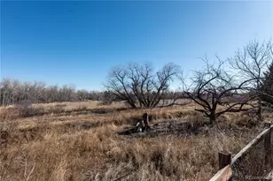 2323 Dogwood Cir, Louisville, CO 80027 - Photo 46