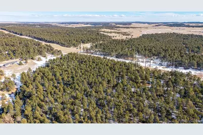 10775 Hardy Road, Colorado Springs, CO 80908 - Photo 6