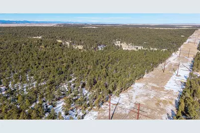 10775 Hardy Road, Colorado Springs, CO 80908 - Photo 8