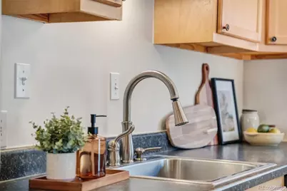 1671 S Grant Street, Denver, CO 80210 - Photo 10