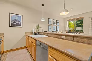 846 Blue River Pkwy, Silverthorne, CO 80498 - Photo 16