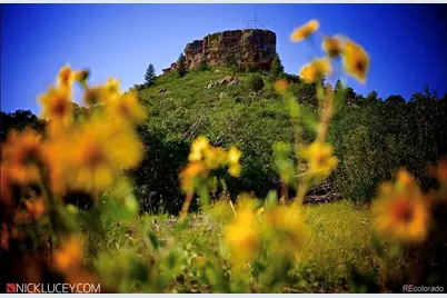 474 Black Feather Loop #401, Castle Rock, CO 80104 - Photo 22