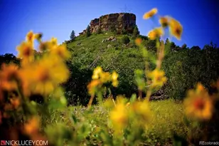 474 Black Feather Loop, Castle Rock, CO 80104 - Photo 22