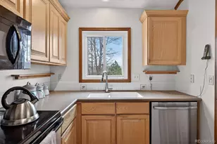 167 Mt Massive Way, Longmont, CO 80504 - Photo 18