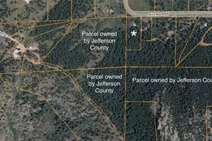 8825 Blue Mountain Dr, Golden, CO 80403 - Photo 50