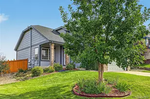 607 Balsa Dr, Castle Rock, CO 80104 - Photo 6