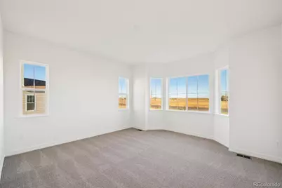 1168 Weller Street, Timnath, CO 80547 - Photo 14