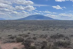 Delaware Trail, San Luis, CO 81152 - Photo 1