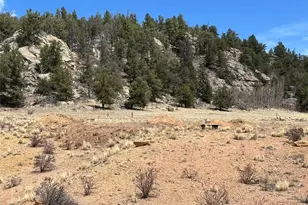 1472 W Longbow Dr, Como, CO 80432 - Photo 1