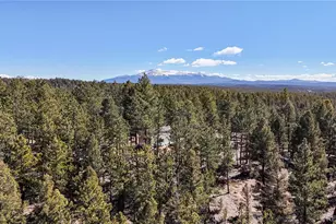 509 John Dr, Divide, CO 80814 - Photo 2