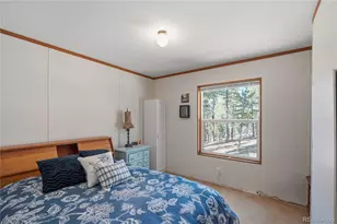 509 John Dr, Divide, CO 80814 - Photo 8