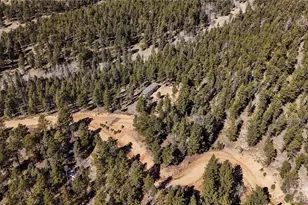 509 John Dr, Divide, CO 80814 - Photo 14