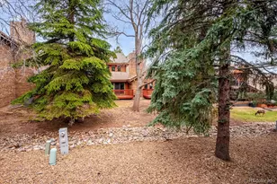 16065 Double Eagle Dr, Morrison, CO 80465 - Photo 10