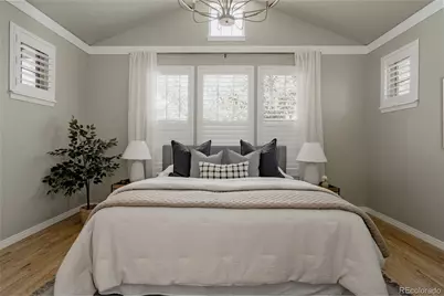 3364 Wabash Street, Denver, CO 80238 - Photo 26
