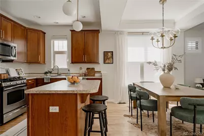 3364 Wabash Street, Denver, CO 80238 - Photo 30