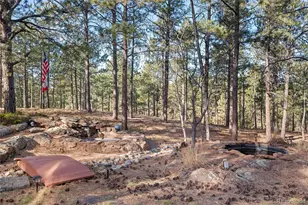 450 Lariat Loop, Monument, CO 80132 - Photo 44